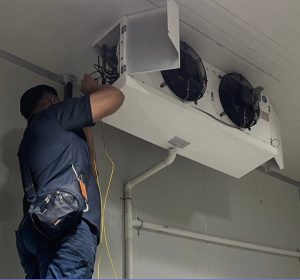 Những Lỗi Kho Đông Thường Gặp Và Cách Xử Lý Hiệu Quả Tại Thành Phố Vũng Tàu